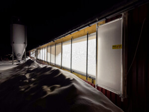 Arntjen gardiner hos Magne Landrø og May Rita Olsen. Lensivk 2025