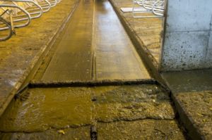 2_Strangko_kjettingtrekk-341