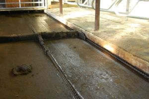 3_Renne_med_kjettingtrekk-342