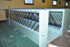 Fôrbrett glassfiber.jpg 2