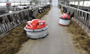 Lely_Juno_100_og_150-268