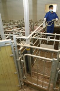 __pning_av_port_i_midtgang-187