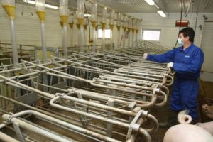 __pning_av_port_i_midtgang__til_r__ne_-186