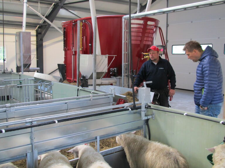 Nytt sauefjøs i stål og sandwich under oppføring på Skreia