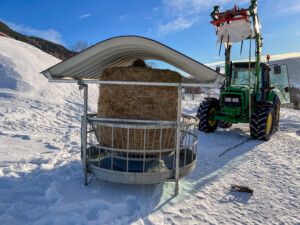 Ilegg av rundball med traktor i rundballehekk med tak for sau og geit
