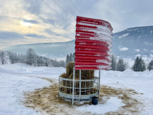 Rundballehekk med tak for sau og geit