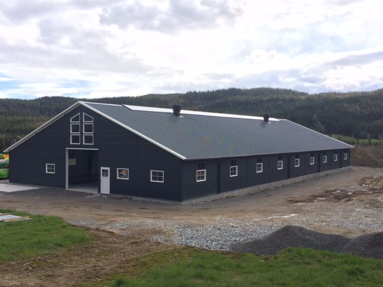 Sandwichpaneler til vegg og tak