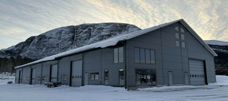 Vegg og takelementer i sandwich