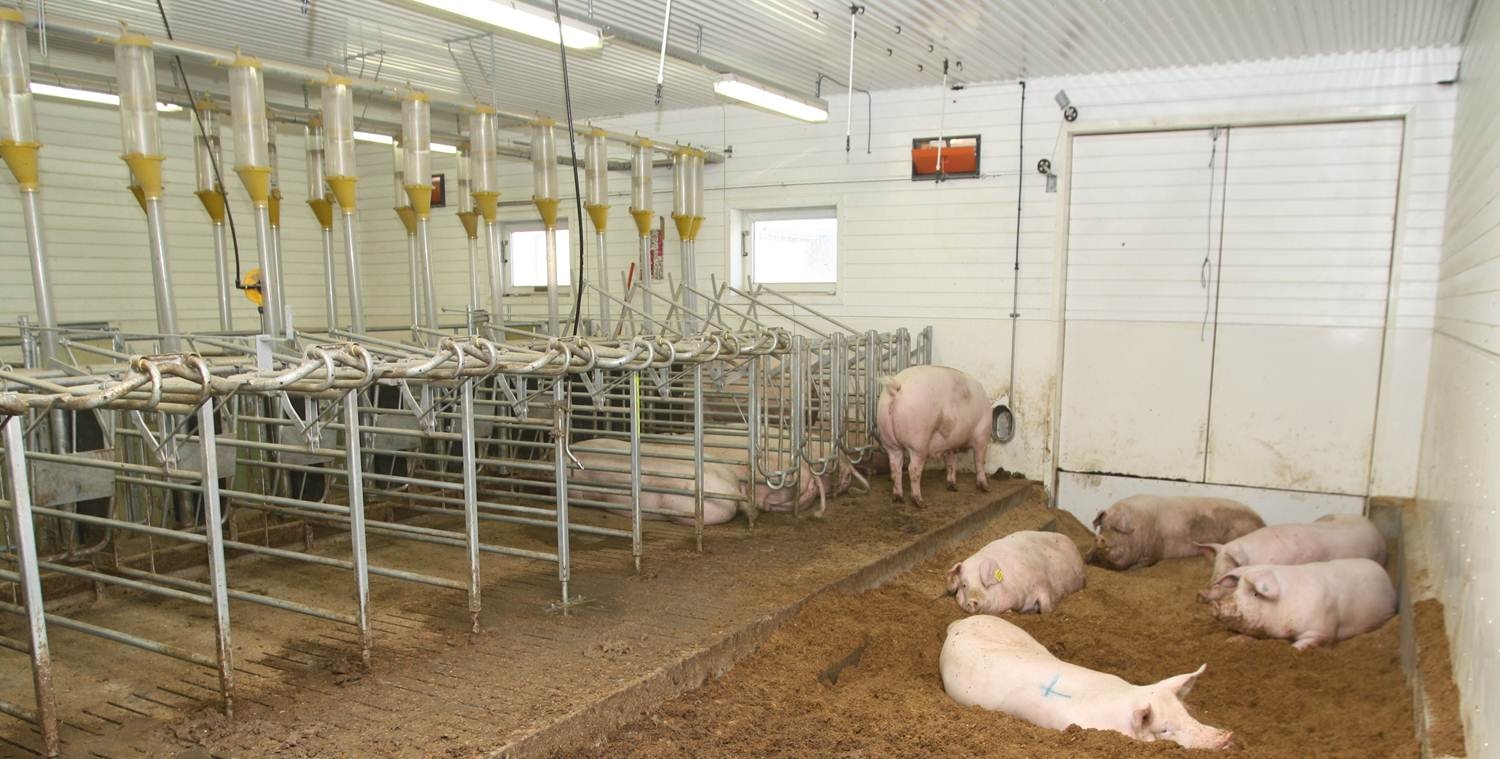 Innredning i bedekningsavdeling