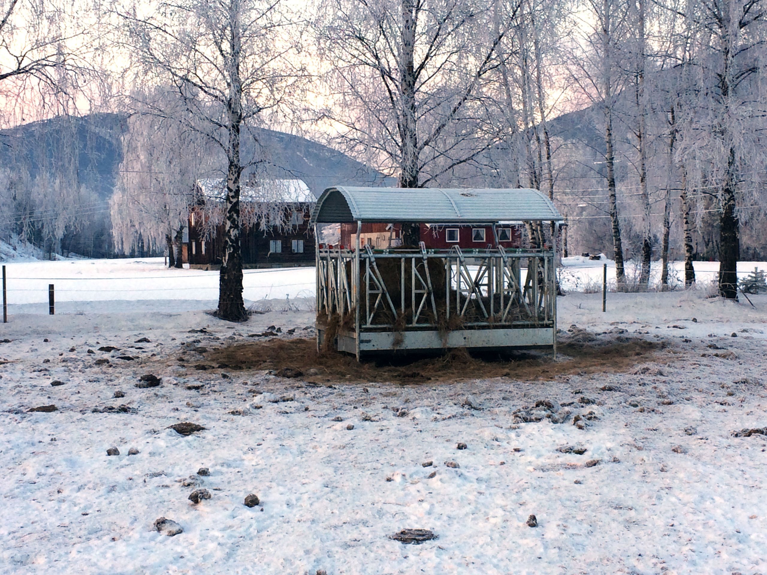 Fôrhekker for utendørs bruk