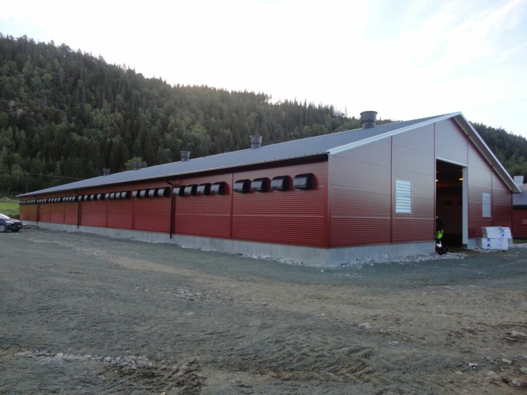 Nytt kyllinghus hos Bjørn Winje på Ytterøy