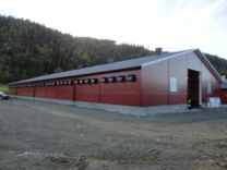 Nytt kyllinghus hos Bjørn Winje på Ytterøy