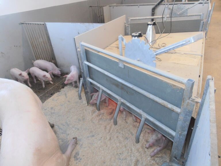 FT30 og FTS fødebinger