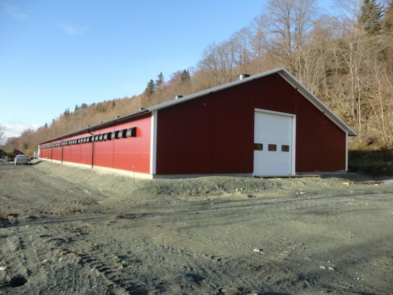 Nytt kyllinghus hos Nils I. Myhr på Ytterøy