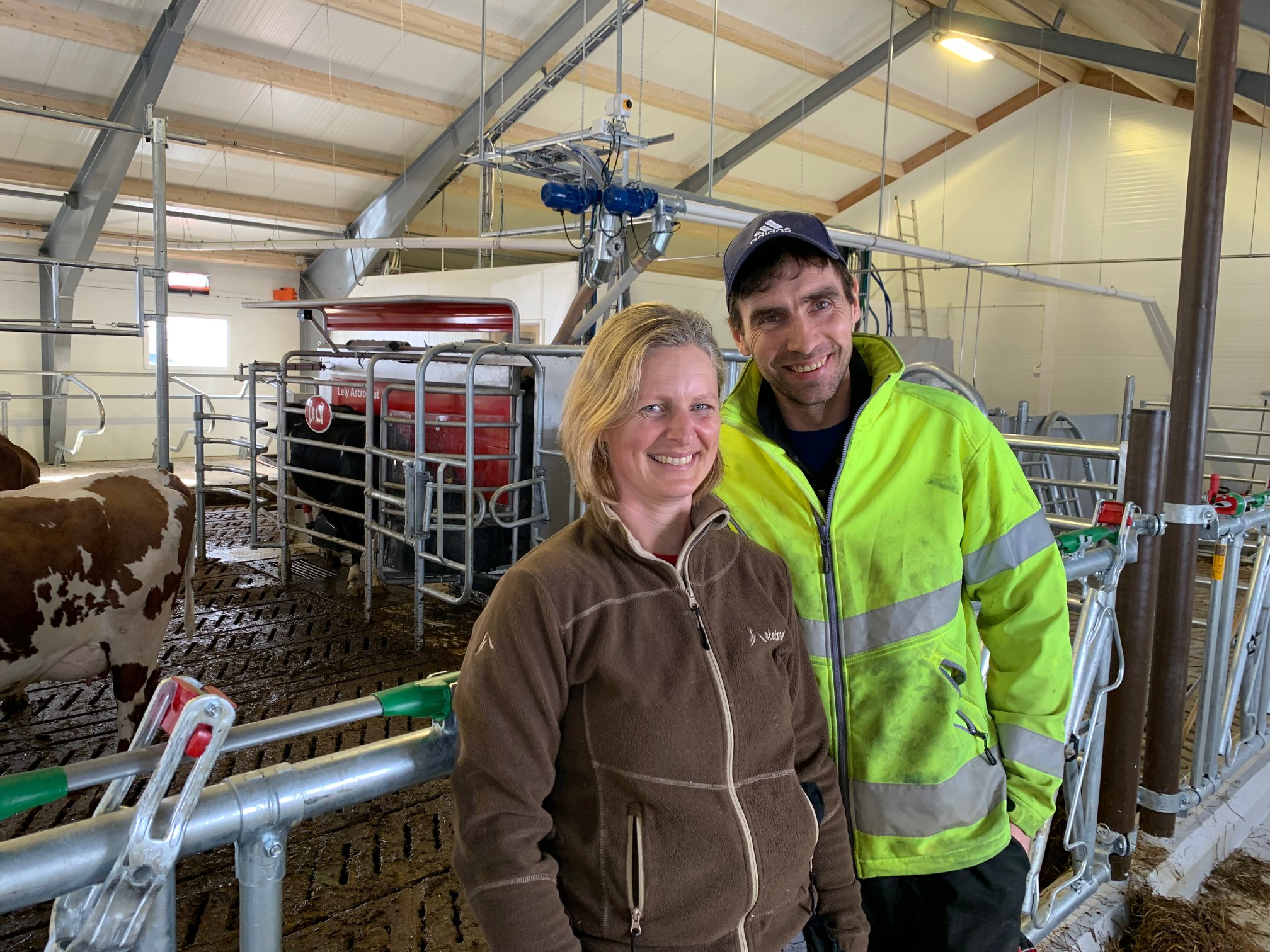 Nytt melkekufjøs i Nord-Fron