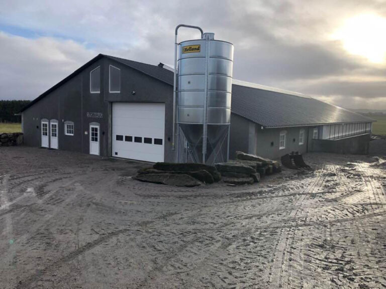 Nytt ungdyrfjøs på Jæren Nytt ungdyrfjøs på Jæren