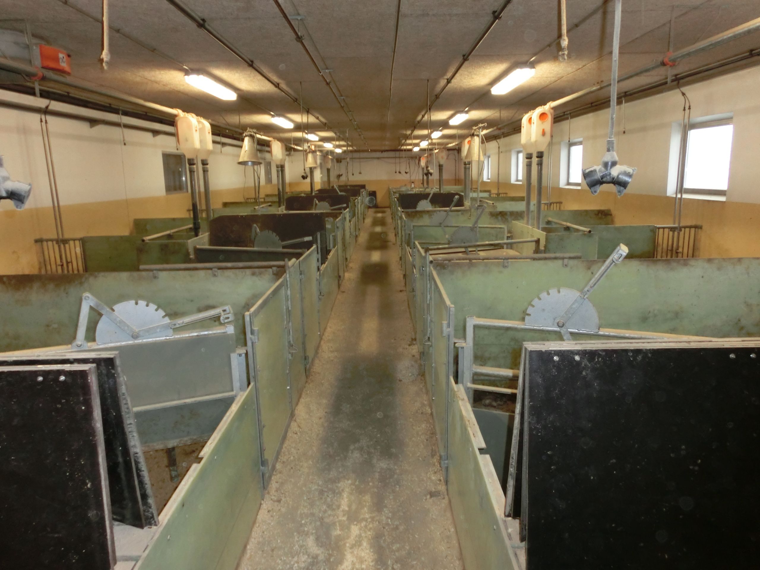 Kombinert besetning med 7 ukers puljedrift på Kylstad Østre