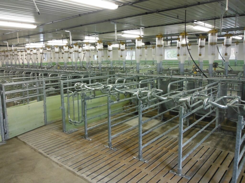 Nytt hus for smågris på Frosta