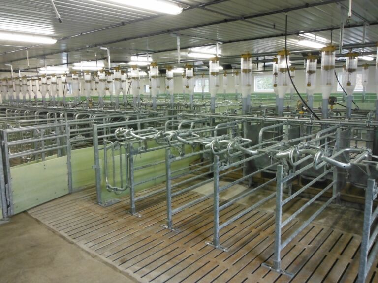 Nytt hus for smågris på Frosta