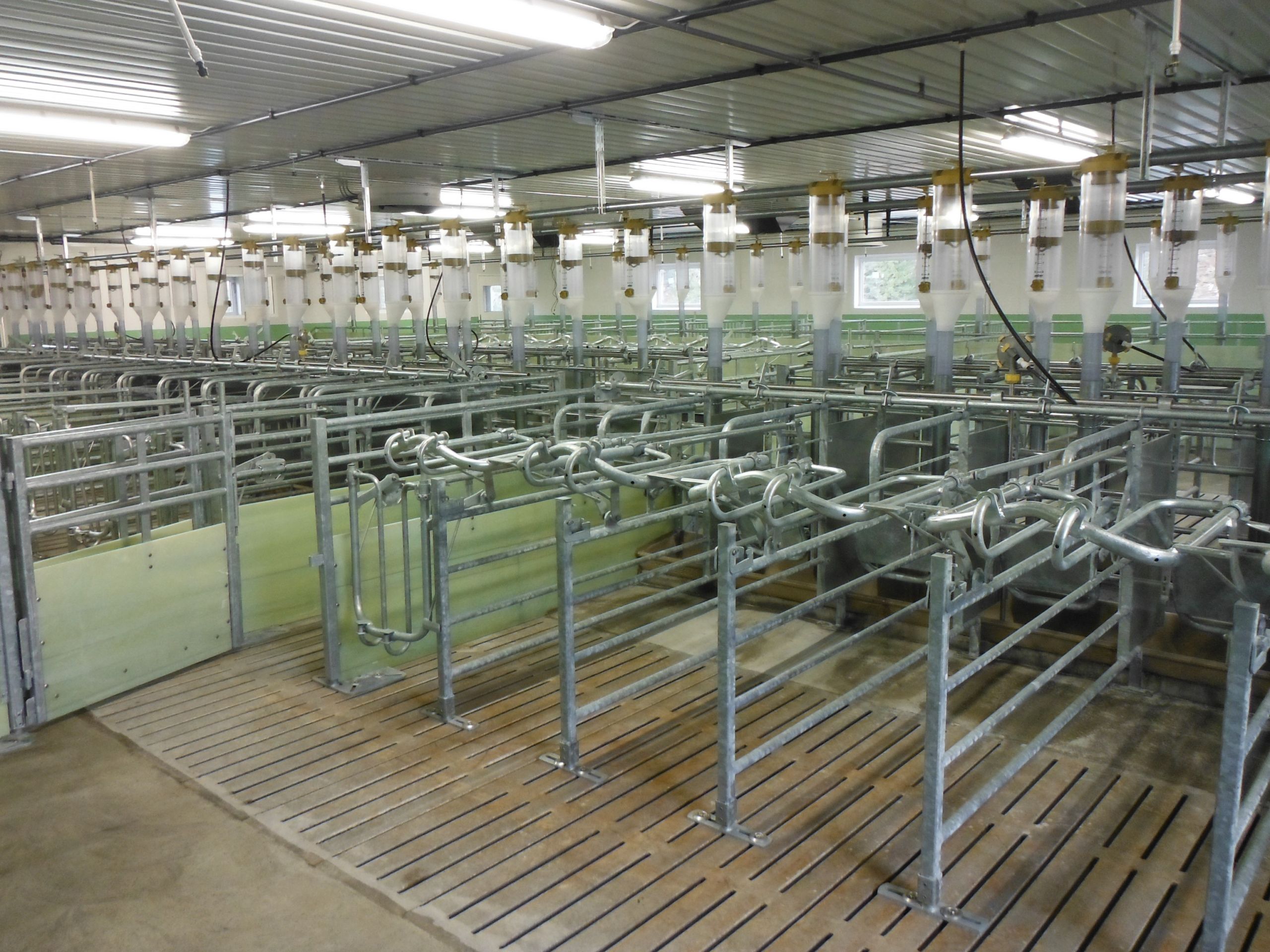 Nytt hus for smågris på Frosta