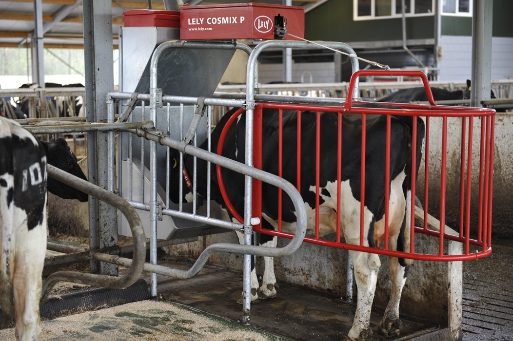 Kraftfôrstasjon for storfe