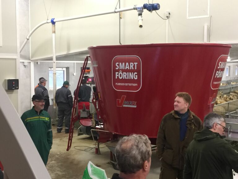 Topp moderne sauefjøs i Flatanger