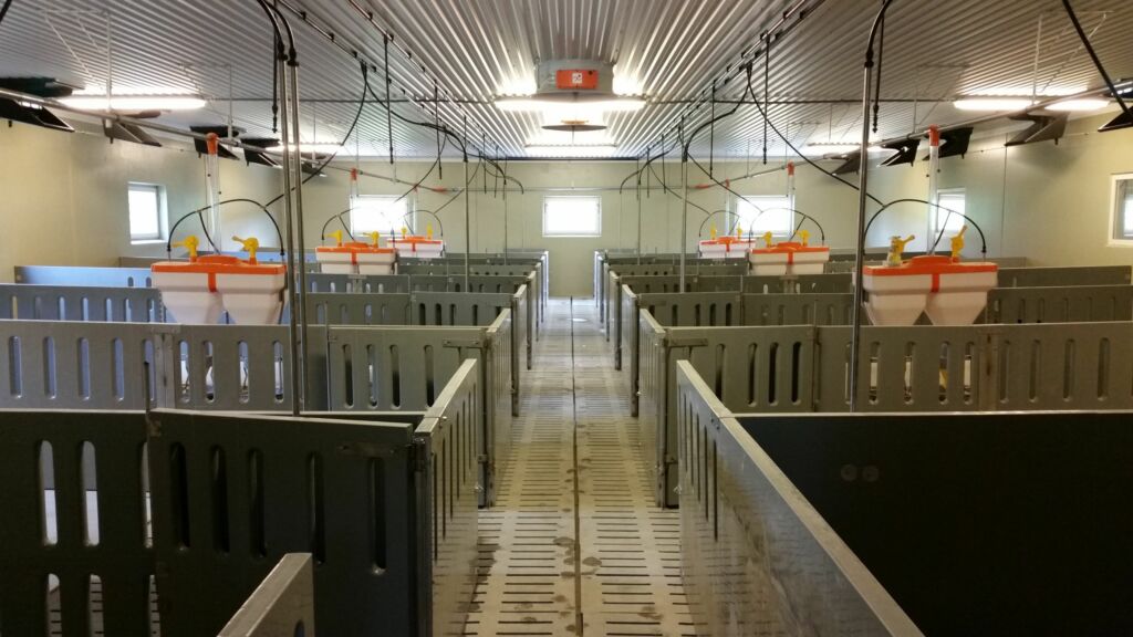 Nytt hus for slaktegris i Skjeberg