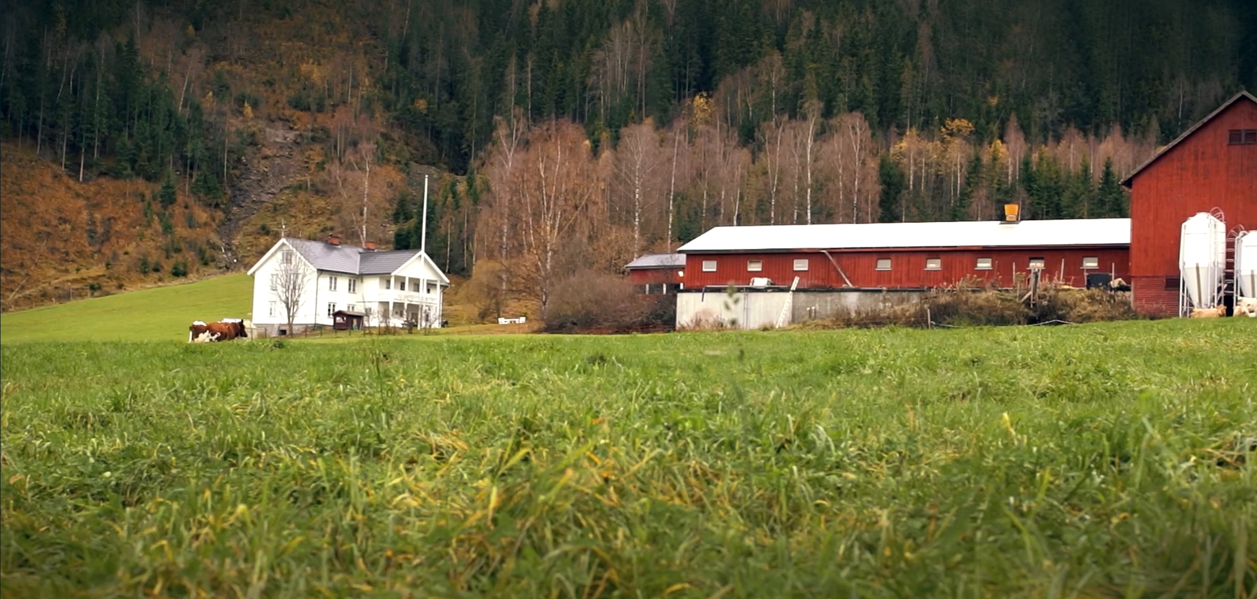 Livet på Ulberg gård i Gudbrandsdalen