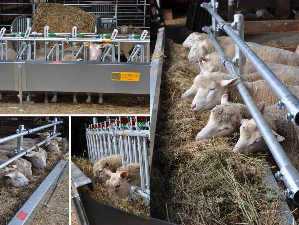 Innredning til sau og geit