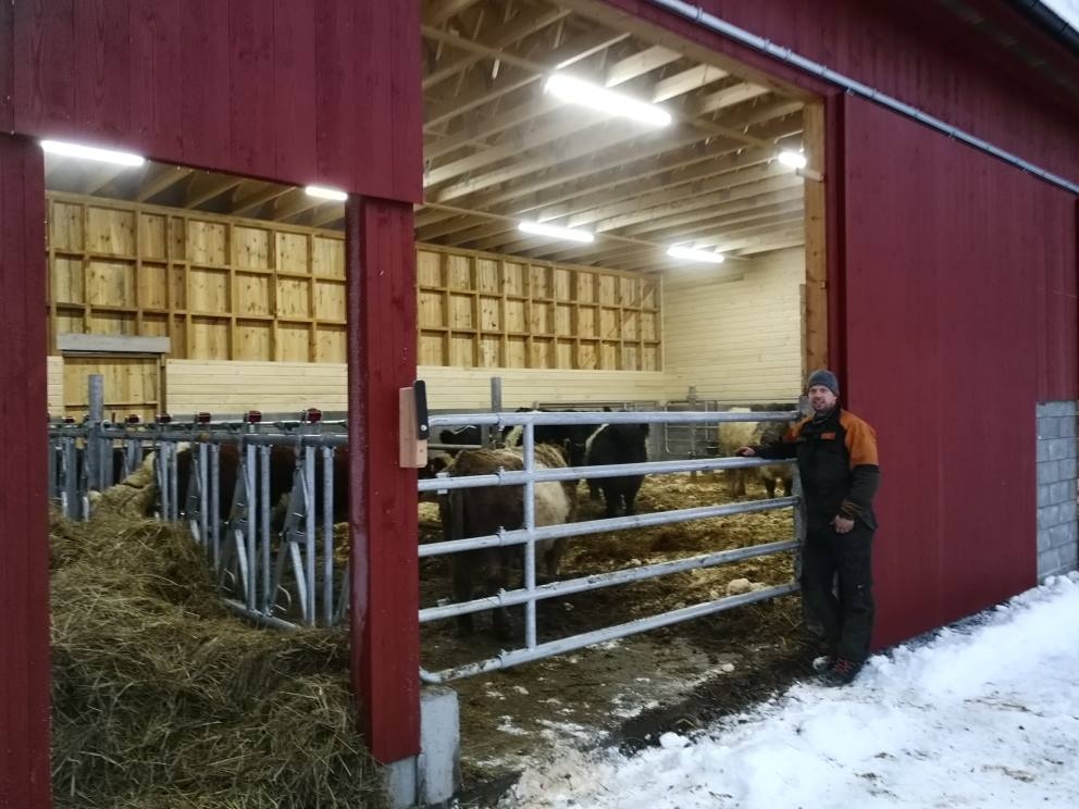 Nytt fjøs i Vegårdshei Nytt fjøs i Vegårdshei