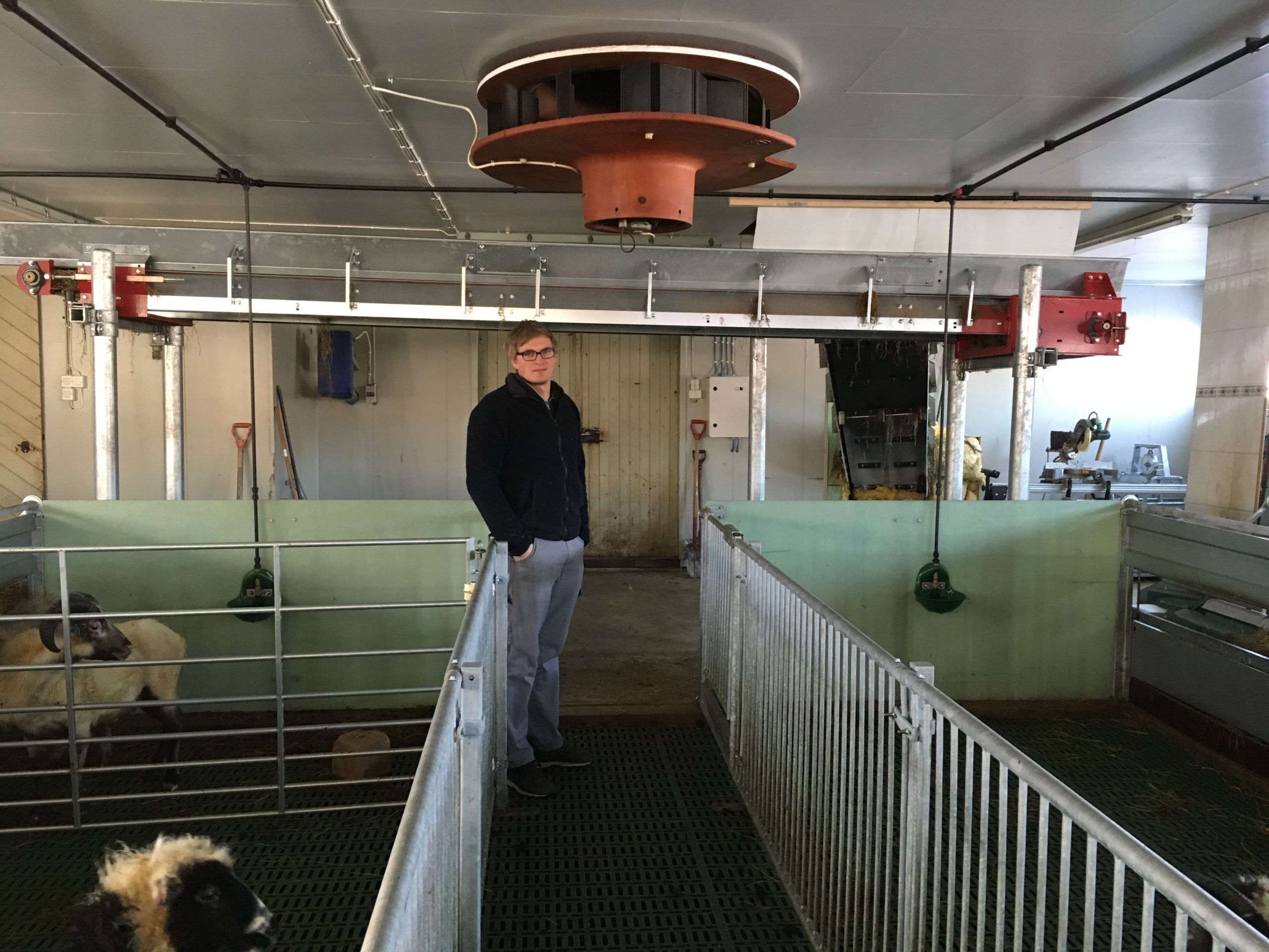 Ombygd kufjøs til sau hos Henry Dyste, Kolbu