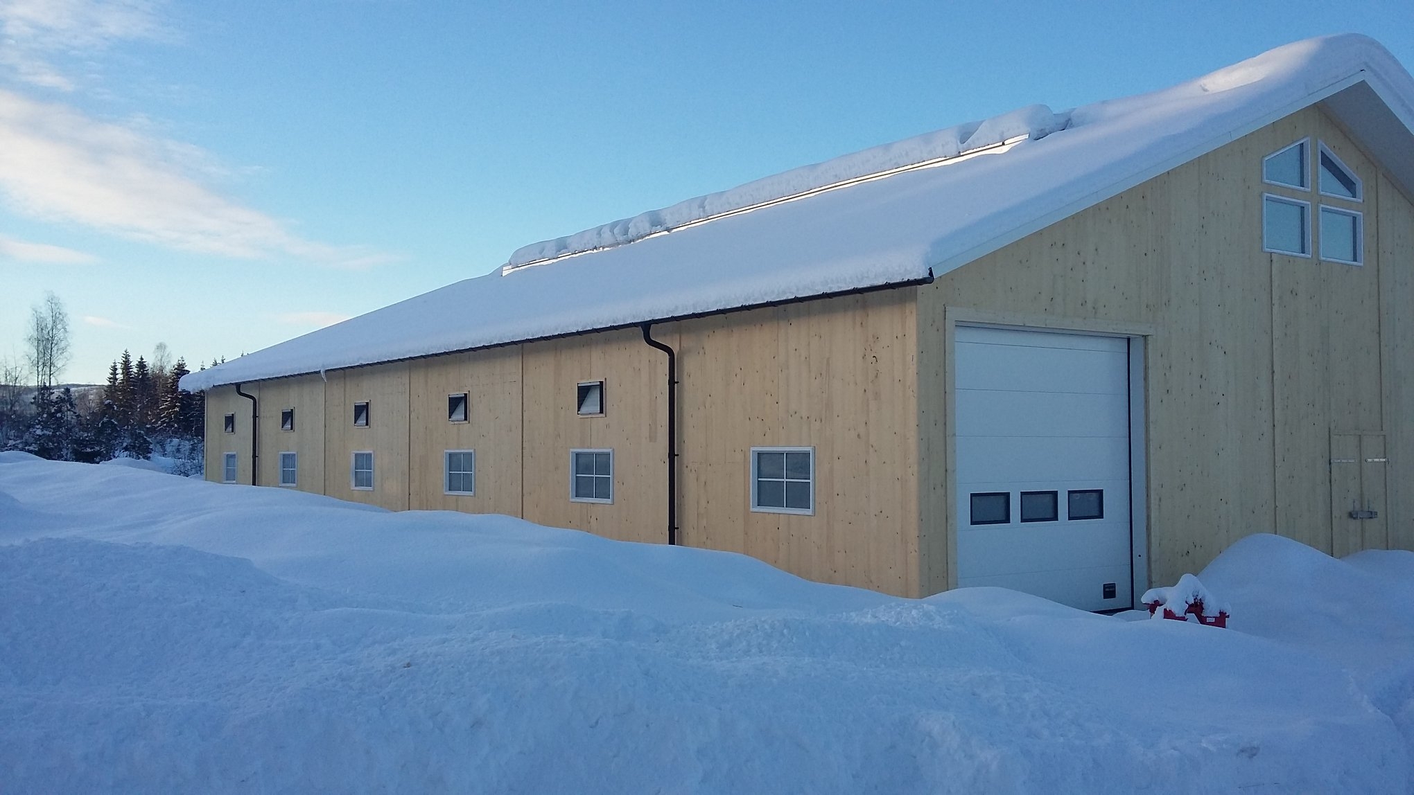 Nytt ammekufjøs på Lillehammer