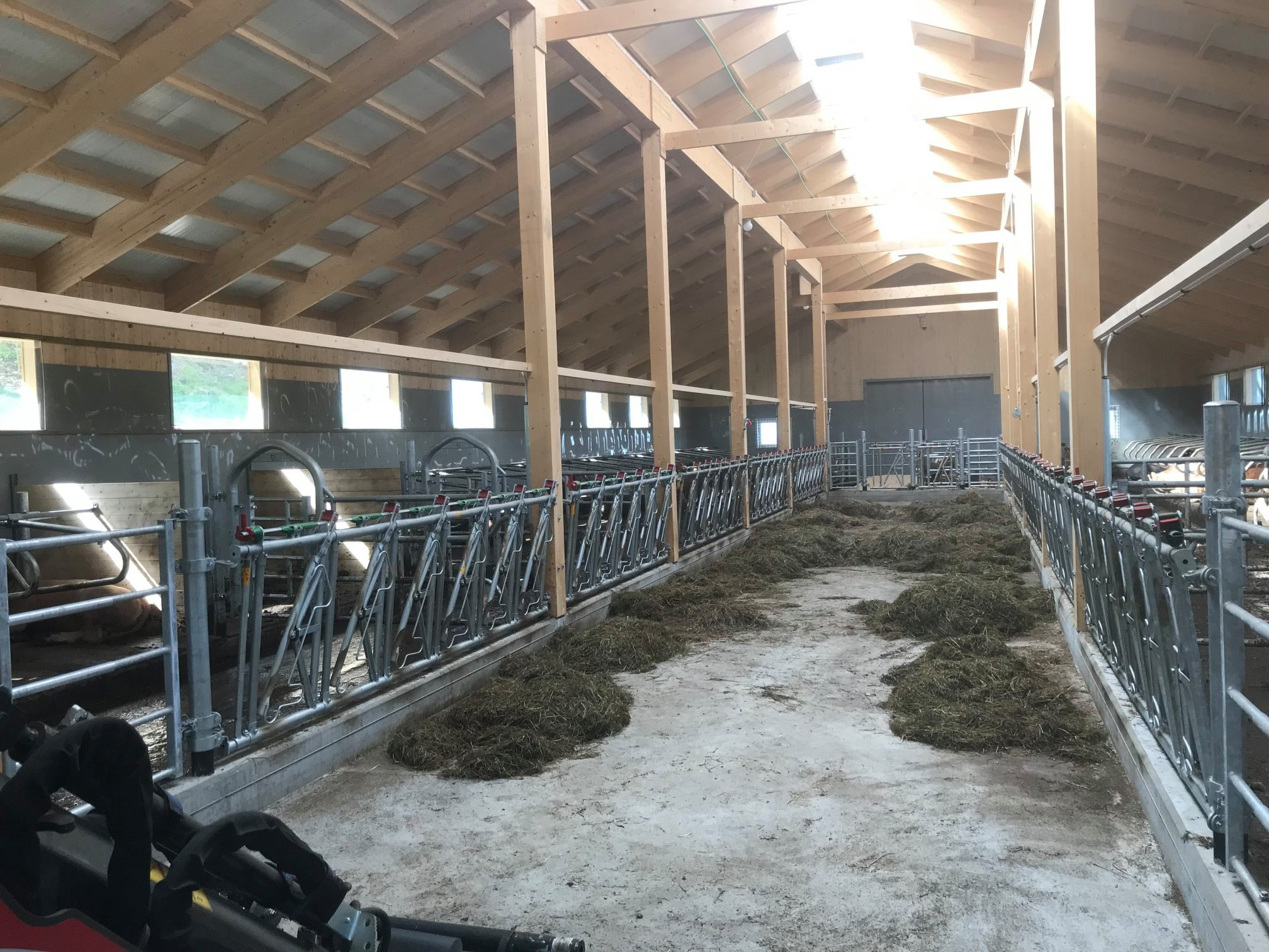 Innredning og tak til ammekufjøs