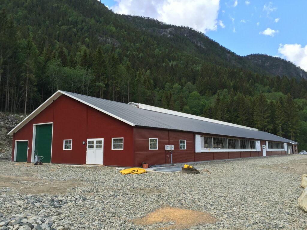 Nytt melkekufjøs i Flatdal