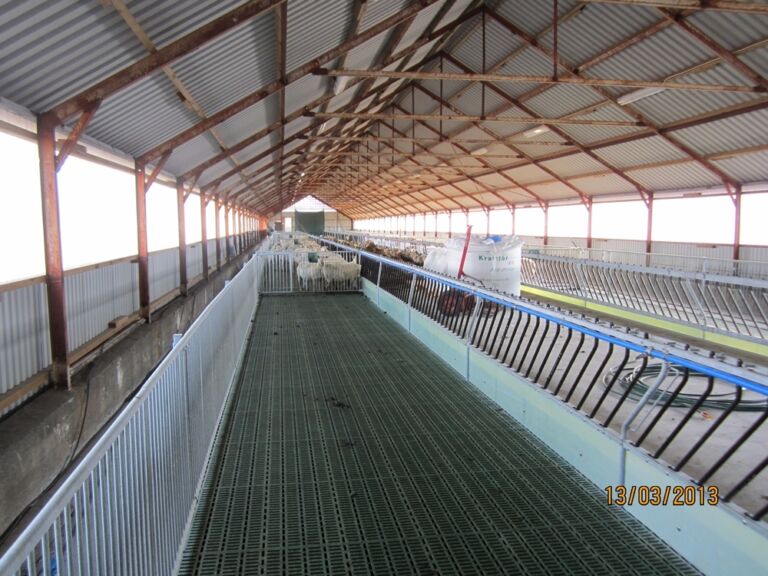 Ombygging av veksthus til sauefjøs