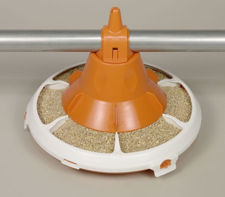 Fôrrekker til kylling