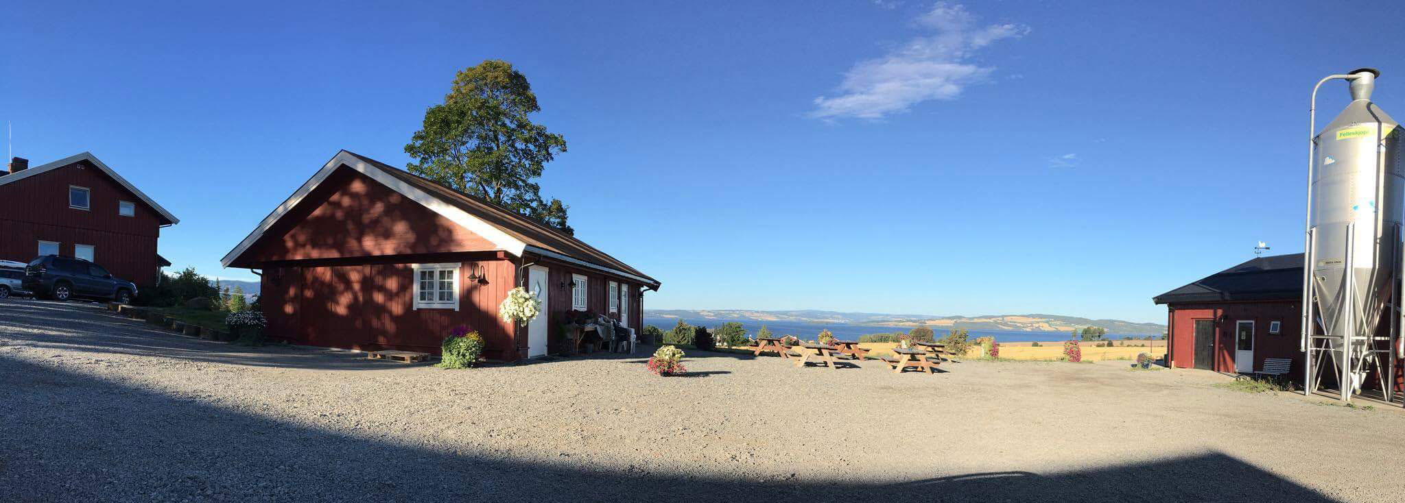 Ombygging fra miljøbur til frittgående høner