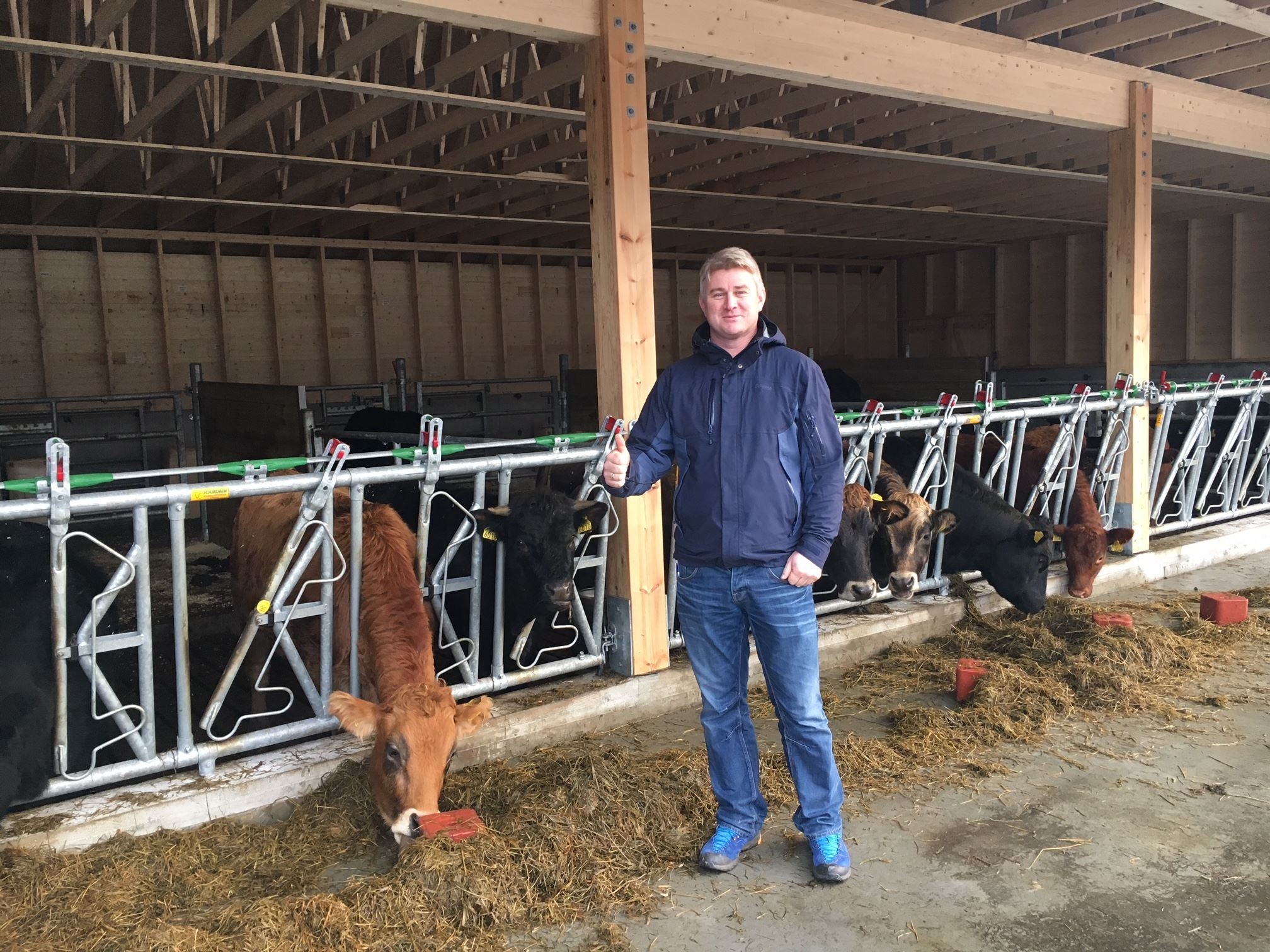 Nytt ammekufjøs i Haugesund