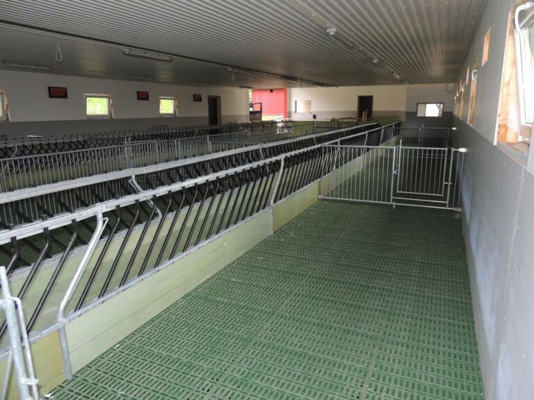 Nytt tilbygg for sau hos Terje Rotås