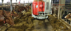 Ombygging og tilbygg nytt melkekufjøs