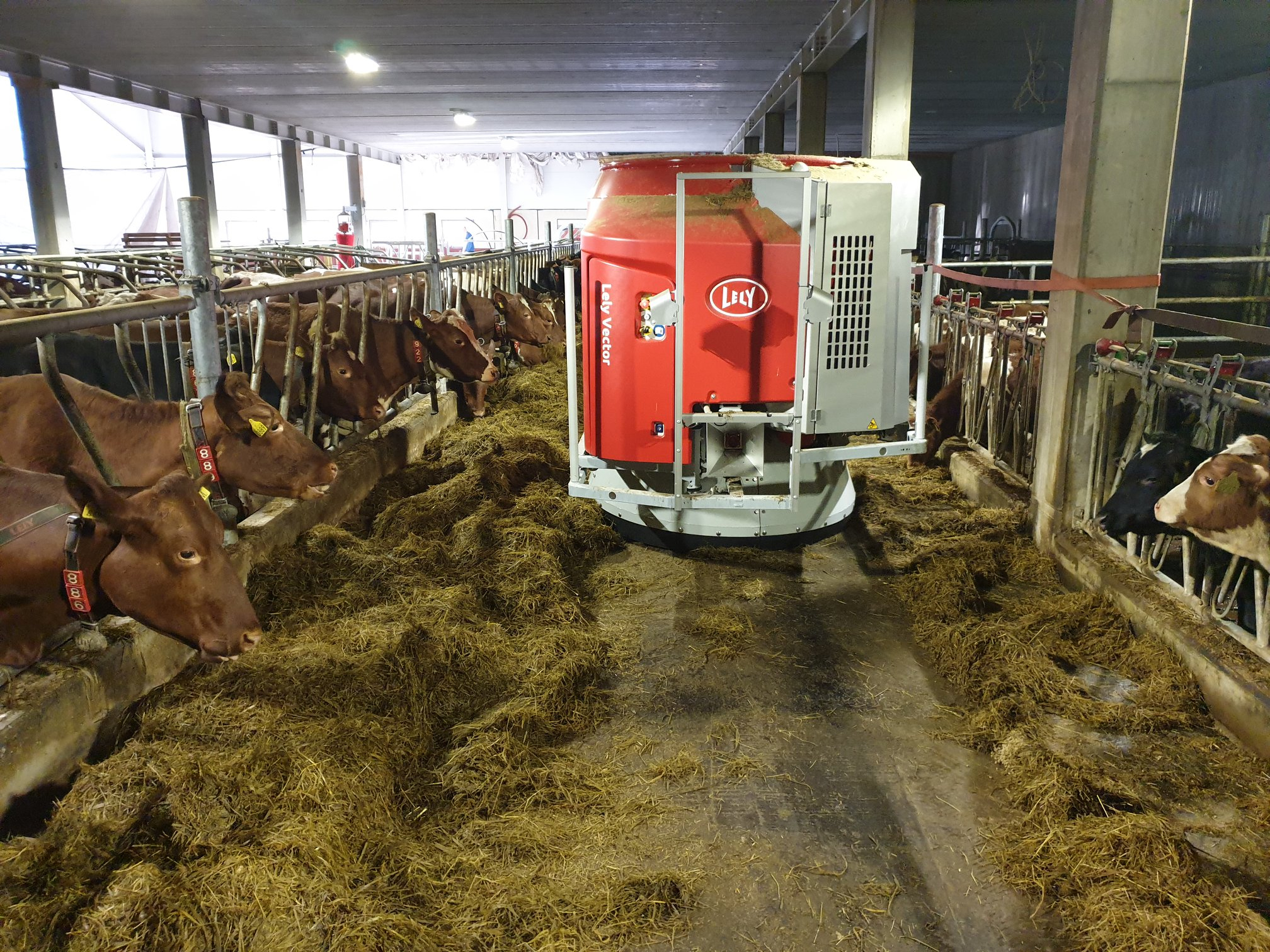 Ombygging og tilbygg nytt melkekufjøs