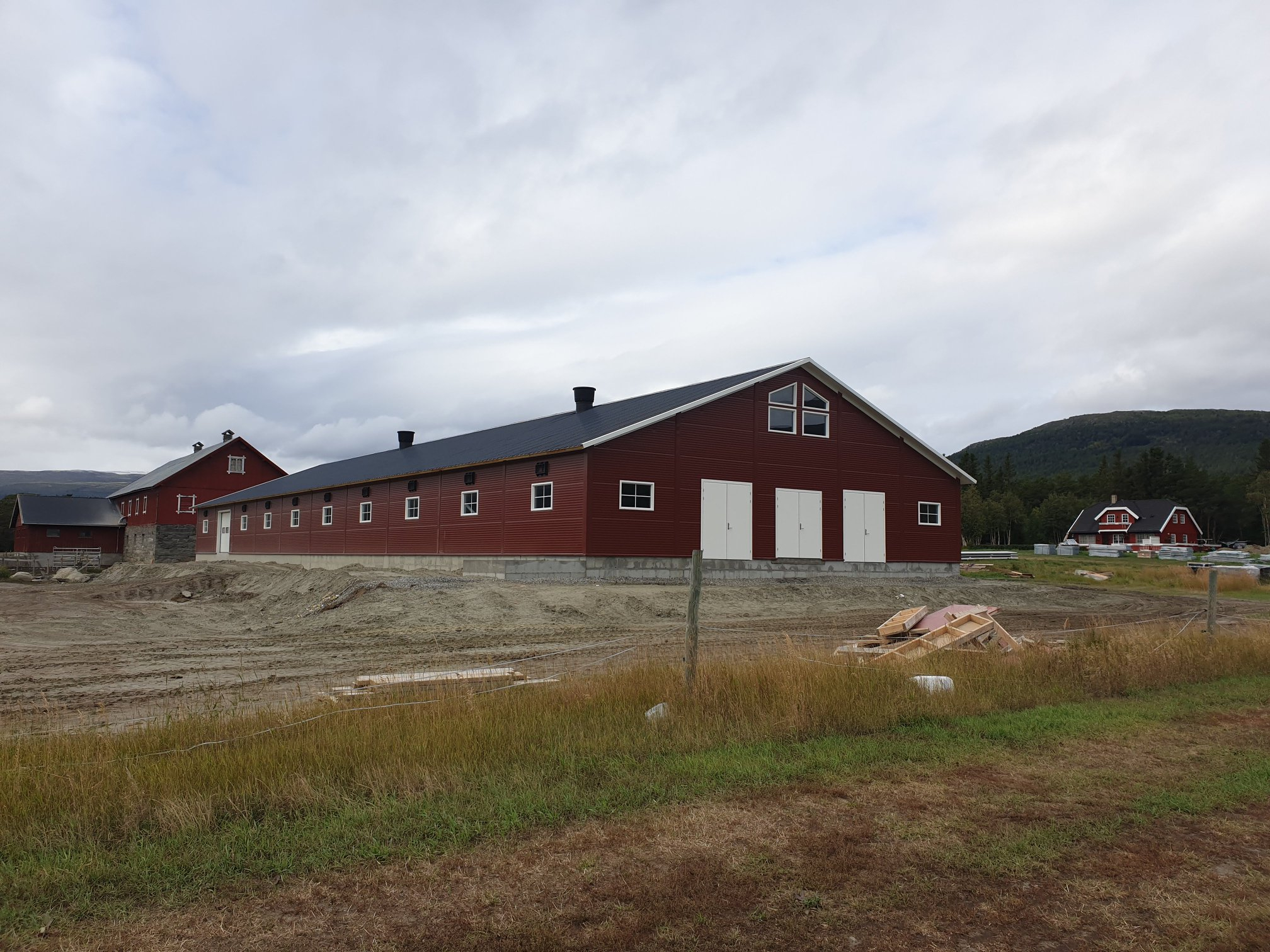 Nytt ammekufjøs på Lesja