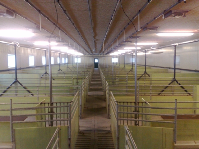 Slaktegrishus på Holum Gård