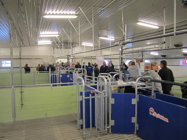 Nytt nav i Bjørke purkering – Kyhnstun AS