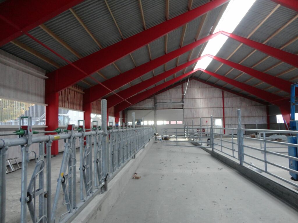 Nytt ammekufjøs hos Gudbrand Rognstad