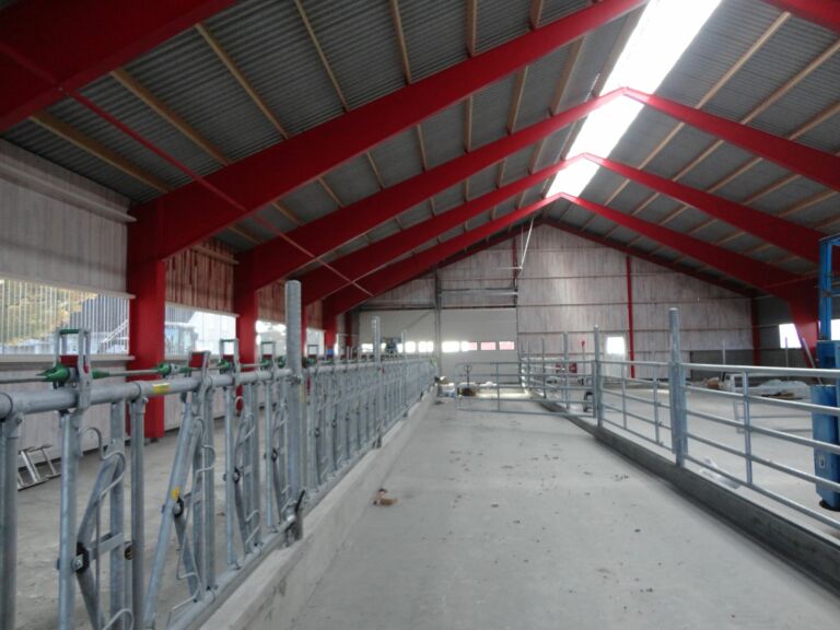 Nytt ammekufjøs hos Gudbrand Rognstad