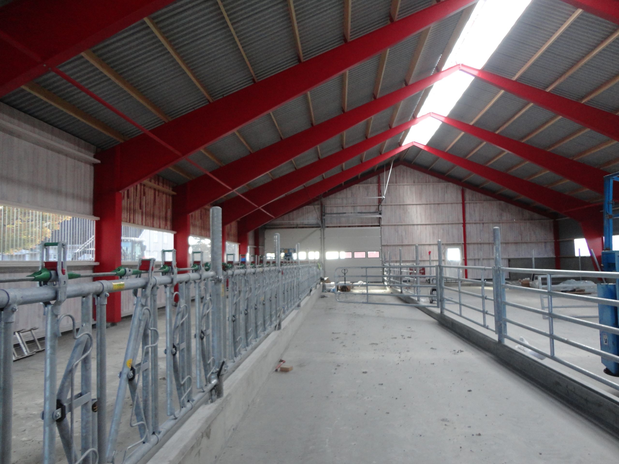 Nytt ammekufjøs hos Gudbrand Rognstad