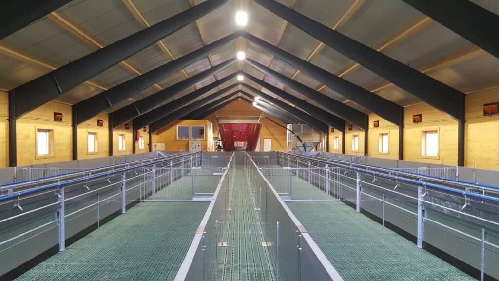 Nytt sauefjøs i Setesdal