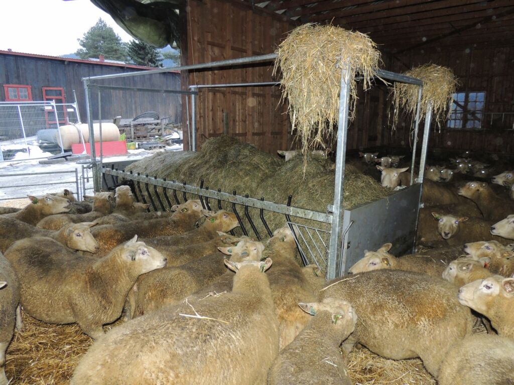 Kraftfôrstasjoner, vekt og fôrkasser hos Hanne Bergesen og Svein Skurdal