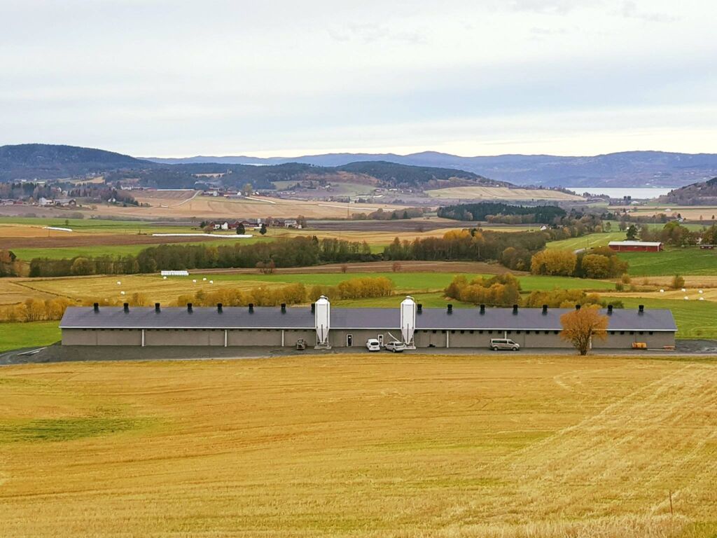 Oppstart hos Trøndelag Kyllingoppdrett AS på Skogn Oppstart hos Trøndelag Kyllingoppdrett AS på Skogn